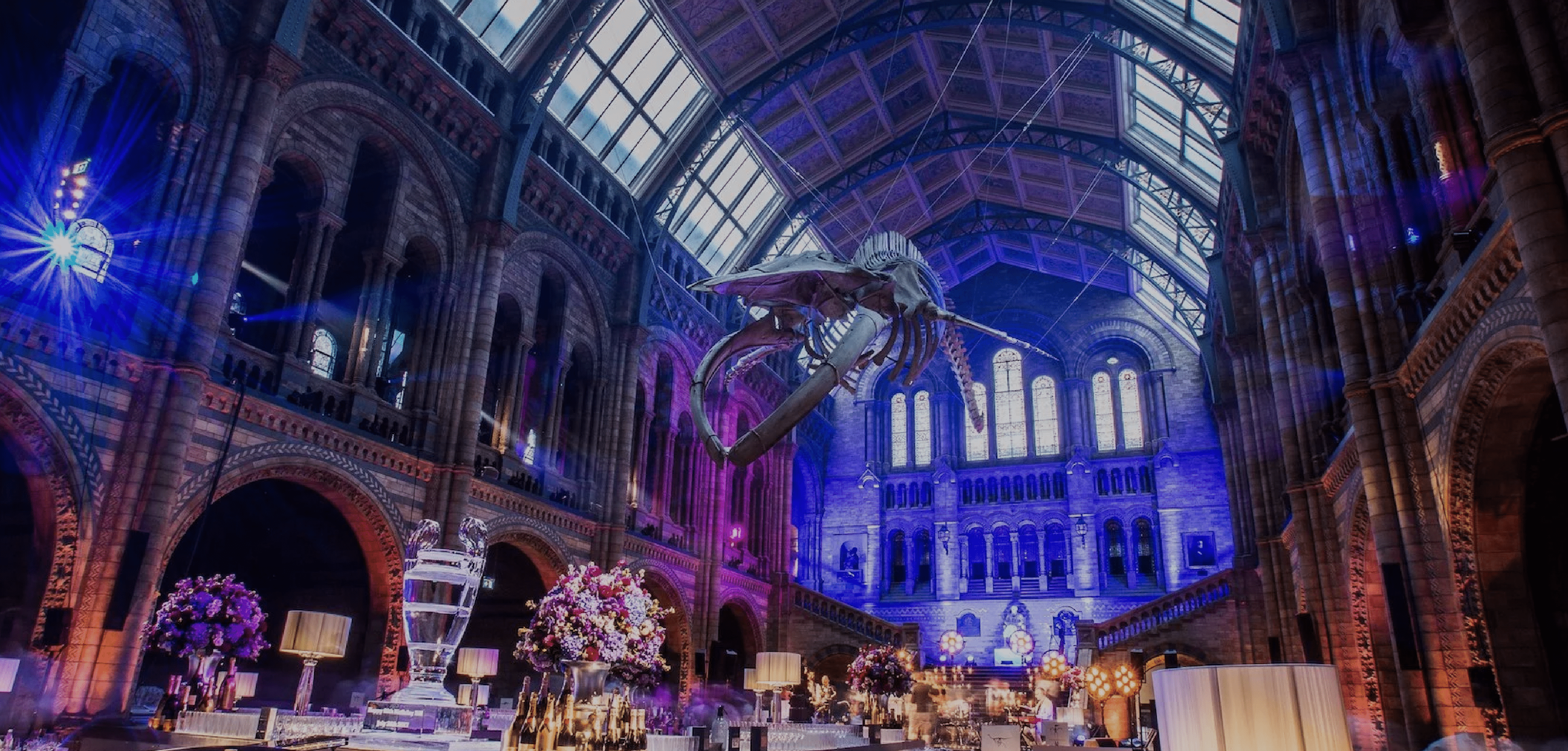 Natural History Museum Event